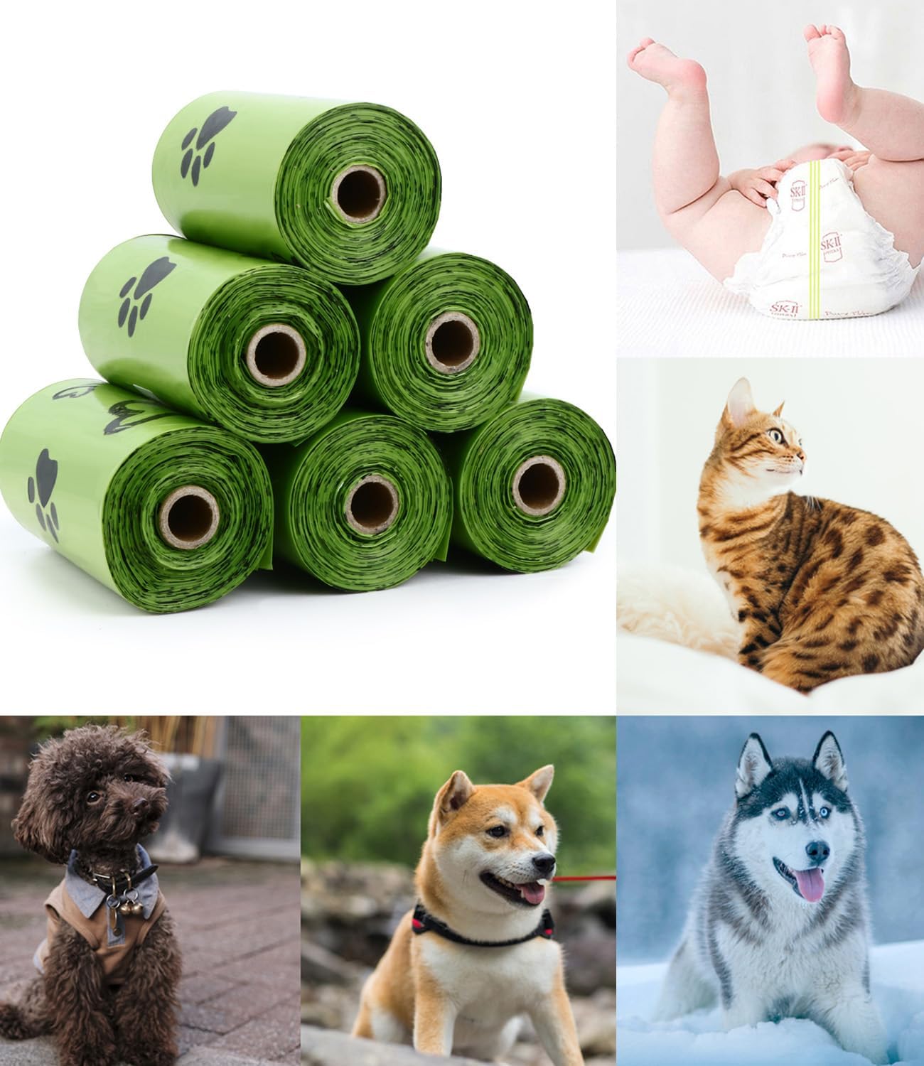 أكياس قابلة للتحلل البيولوجي ل - مراجعة Biodegradable Bin Liner وسعره